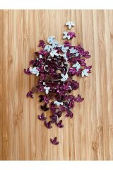 Üç Yapraklı Yonca. Oya, Abiye Ve El Işleme Taş Görünümlü Plastik Pul. Fuşya.