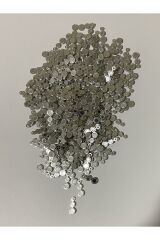 Gümüş Tırtıl Pleksi Oya Ve Işleme Pulu.