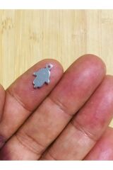 Öztürk El Gümüş Pleksi Kalın Pul. 20gr