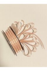 Çizgili şifon kurdele (Kurdale) 2.5cm x 20metre. Renk No:11