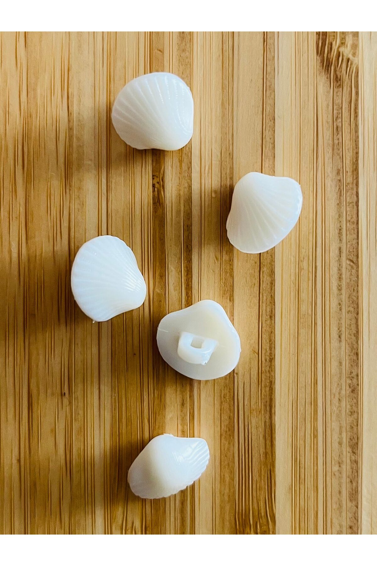 Alttan dikmeli krem bebe düğmesi. 14mm. Deniz Kabuğu.