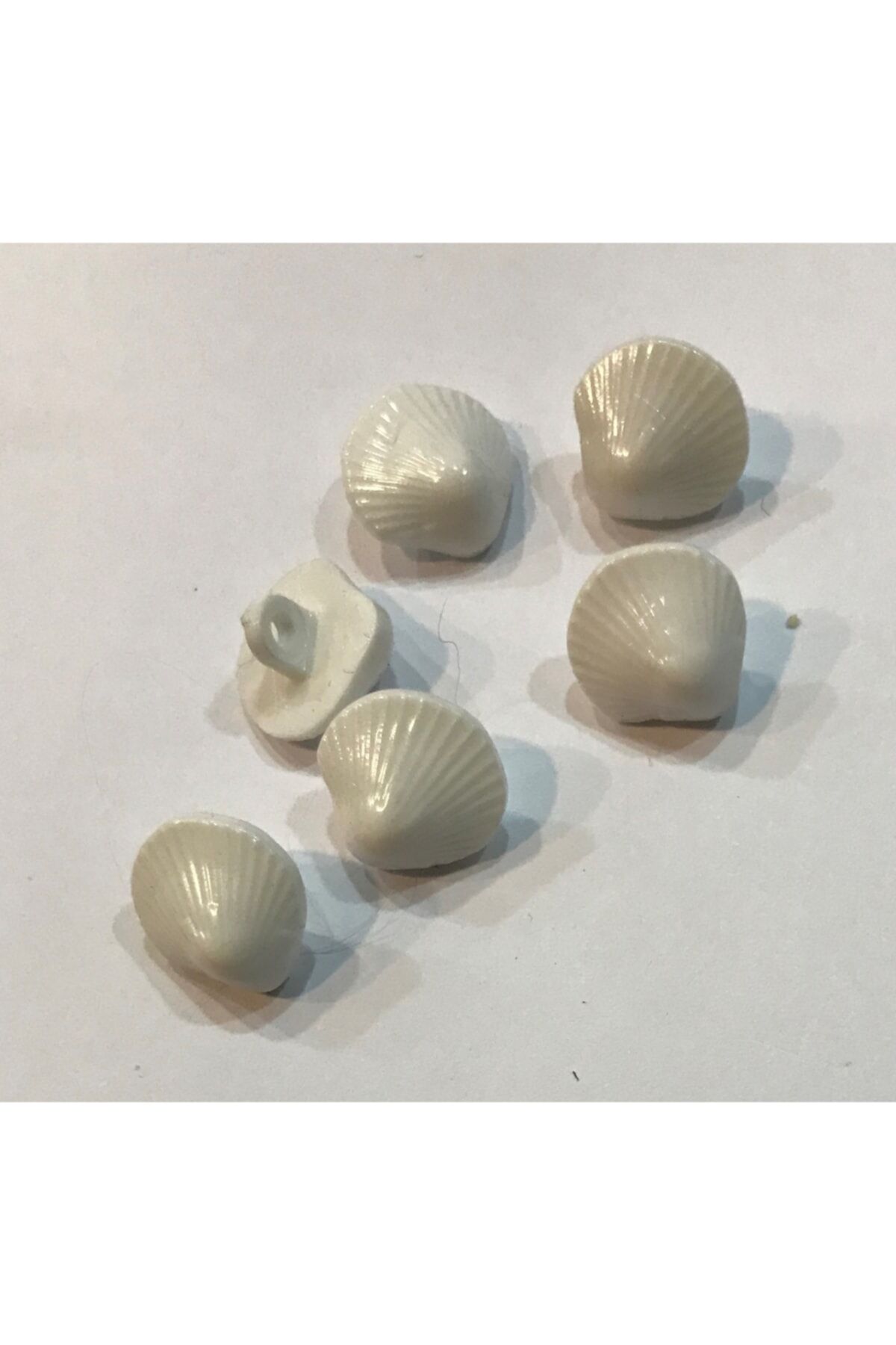 Deniz Kabuğu Bebe Düğmesi. 1.4cm. 6'lı Paket.