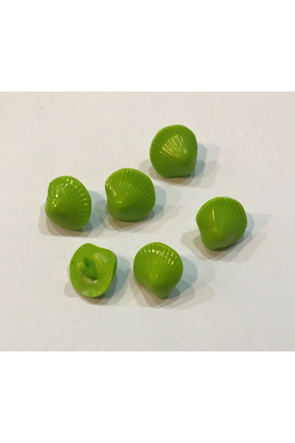Deniz Kabuğu Bebe Düğmesi. 1.4cm. 6'lı Paket.