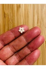 Papatya Işleme Pul. Paket Içi Tahmini 230 Adet. Renk: Ekru