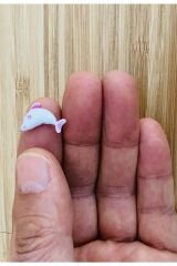 Kolye, Bileklik, Halhal Vb El Işleri Plastik Yunus Balığı Boncuk.