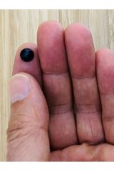 Dikmeli El Işleme Yarım Inci. 8mm. Paket Içi Takriben 160-165 Adet.