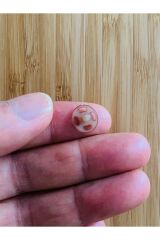 Dikmeli Plastik Çıtçıt 1cm (10mm) 10'lu (10 Çift) Paket. Renk: Kapiçino.