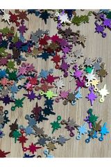 Kutup Yıldızı Renkli Pleksi Kalın Pul. 20gr